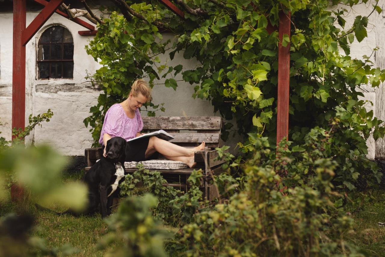 Dambaekgaard Sustainable Farm Villa Harlev  Exteriör bild