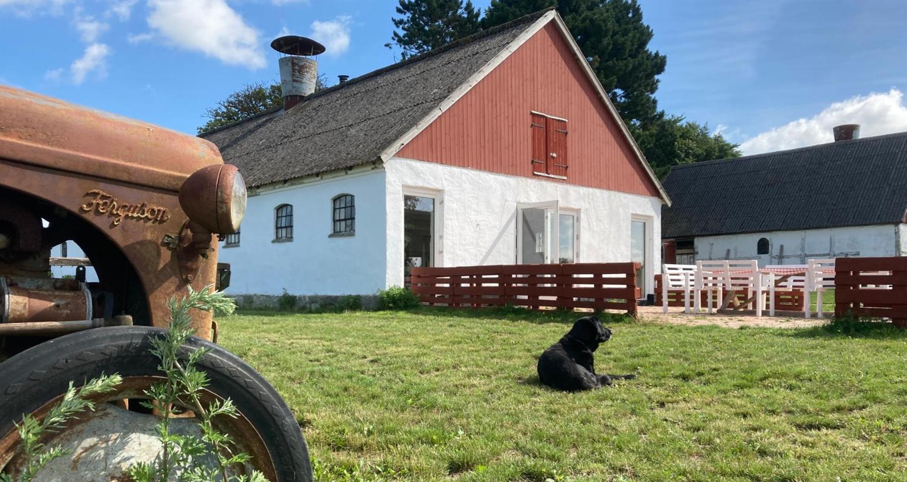 Dambaekgaard Sustainable Farm Villa Harlev  Exteriör bild